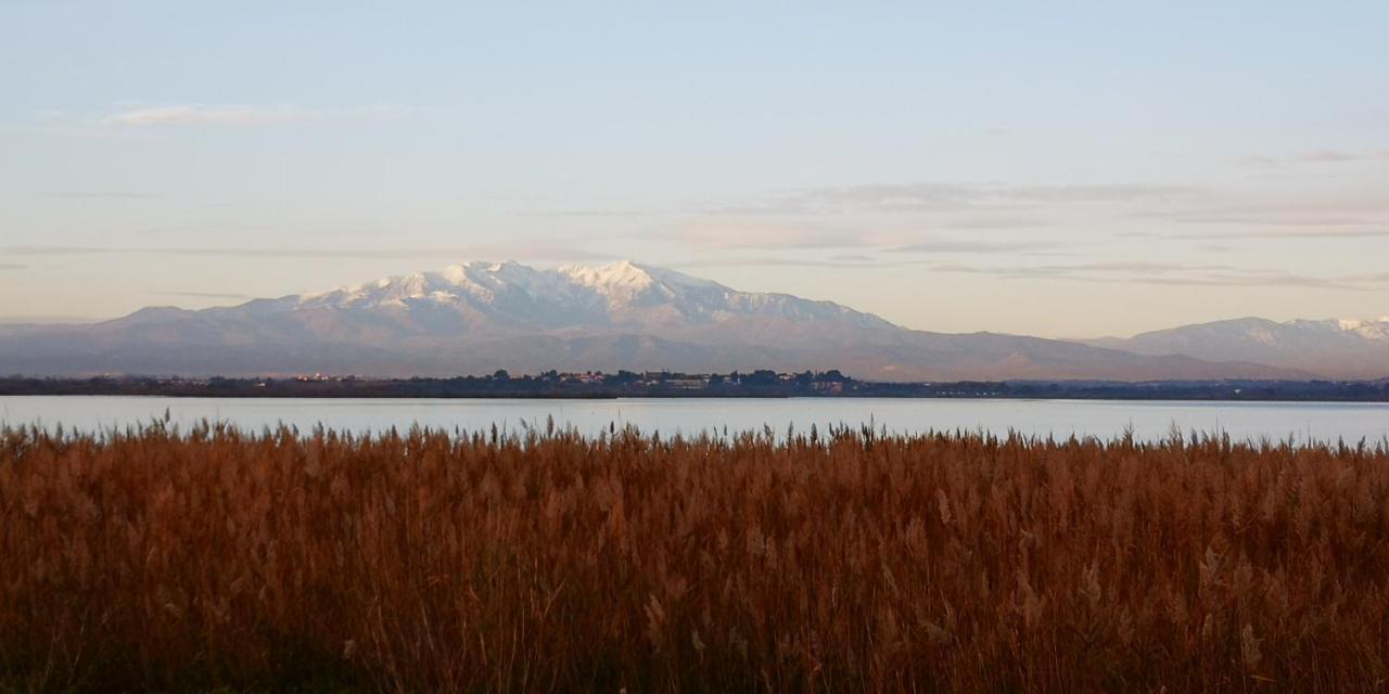 Gite Du Couchant Sorède Exteriör bild