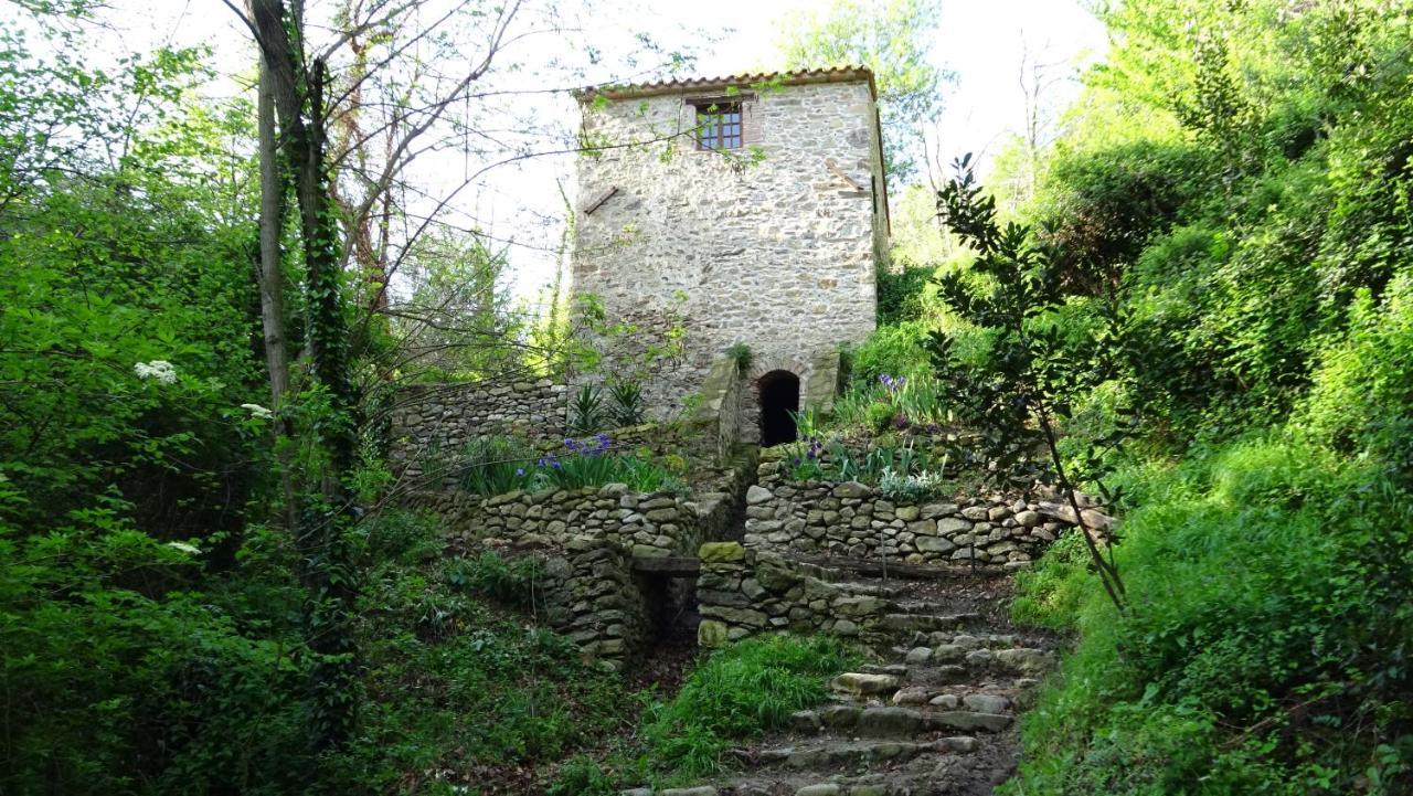 Gite Du Couchant Sorède Exteriör bild